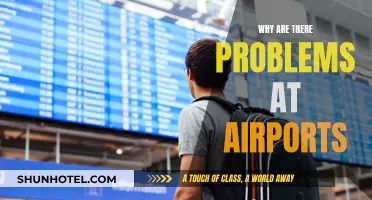 Airports: Frustrating Delays and Their Causes