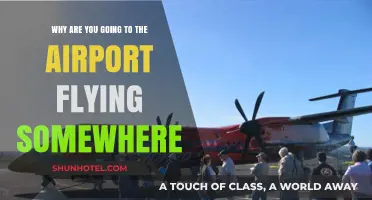Exploring Horizons: Why You're Heading to the Airport for Your Next Flight