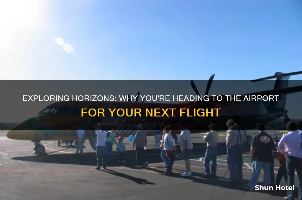 why are you going to the airport flying somewhere