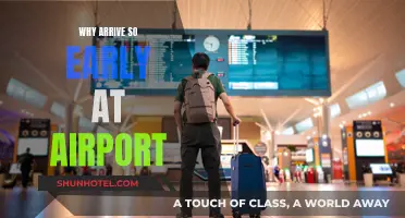 Arriving Early: Airports and the Security Mindset