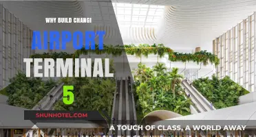 Expanding Horizons: The Strategic Imperative Behind Changi Airport Terminal 5