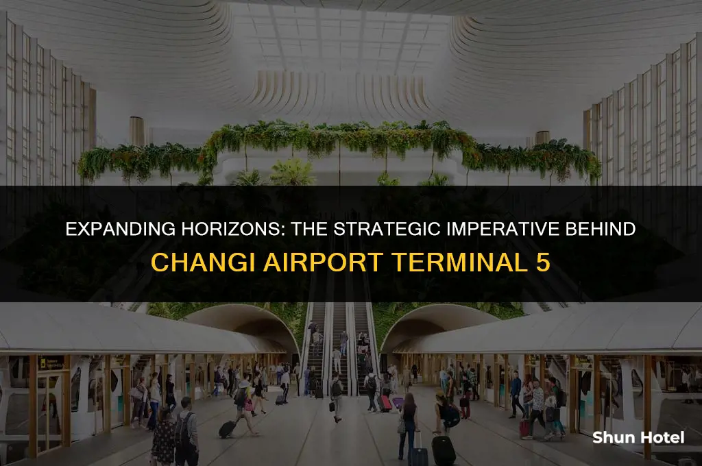 why build changi airport terminal 5