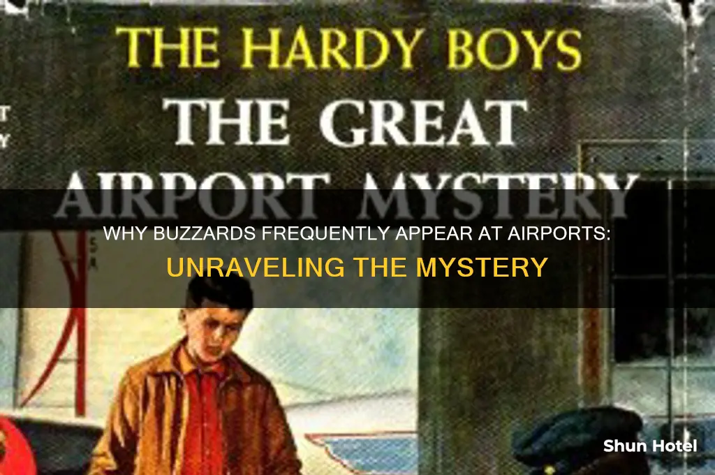 why buzerd gets delivered to airport
