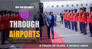 Diplomats' Airport Privileges: Why the Special Treatment?