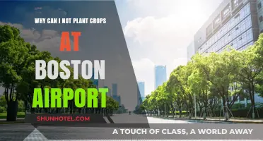 Boston Airport: No Crop Zone