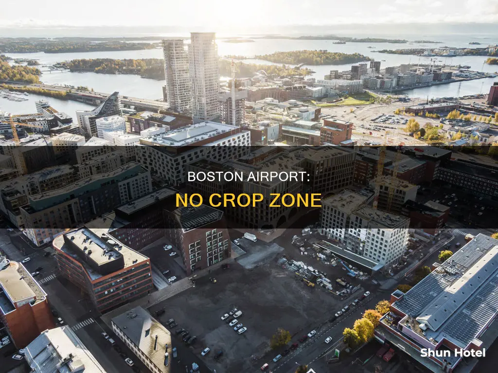 why can i not plant crops at boston airport