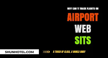How to Track Flights: Airport Websites vs. Flight Tracking Apps