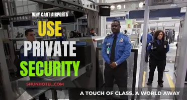 Airports: Private Security, Public Safety?
