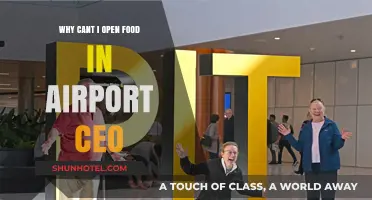Troubleshooting Food Stand Issues in Airport CEO: Can't Open Solutions