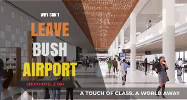 Bush Airport: A Destination Trap