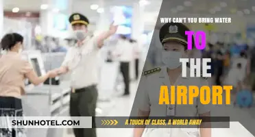 Airport Security: Liquids and the Ban on Water