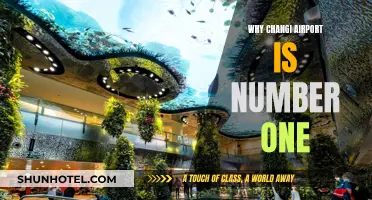 Changi Airport: Unmatched Excellence and Experience