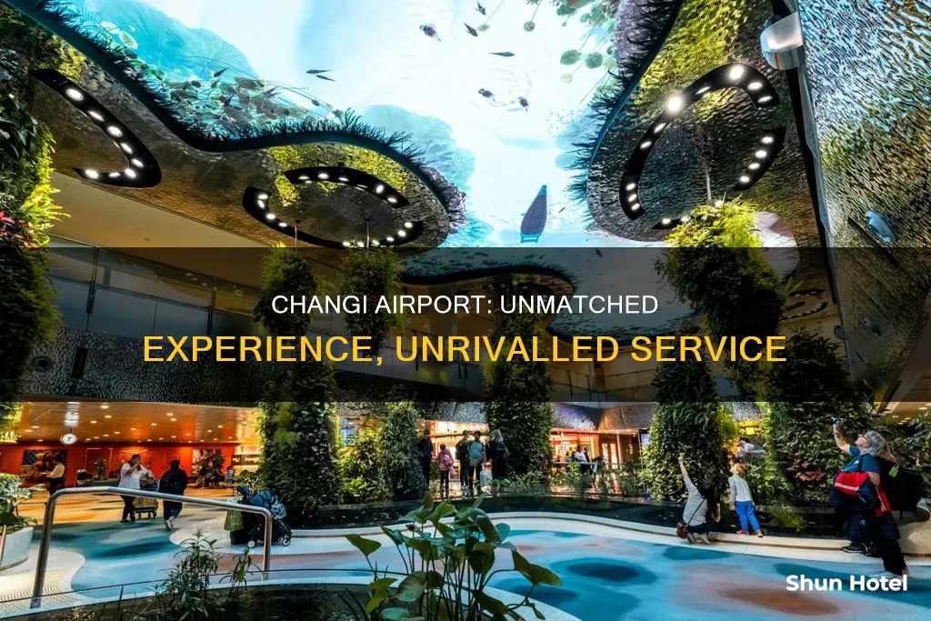 why changi airport is the best