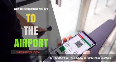 Pre-Flight Check-In: Simplify Your Airport Experience with Online Convenience