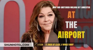 Gretchen Wilson's Airport Arrest: What Really Happened and Why