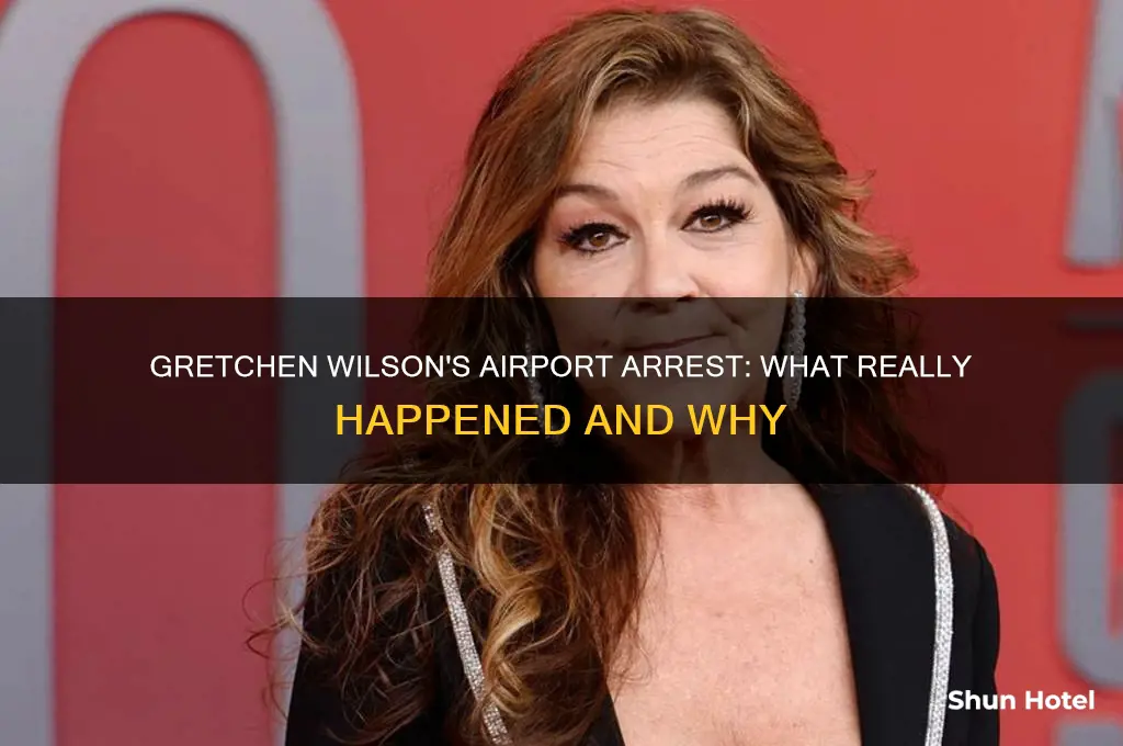 why did gretchen wilson get arrested at the airport