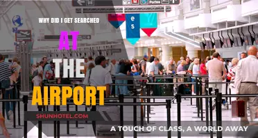 Why Airport Security Flagged Me: Unpacking Random Search Reasons