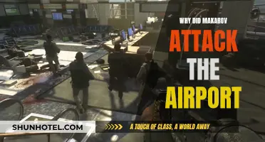 Makarov's Airport Attack: Strategic or Personal Vendetta?