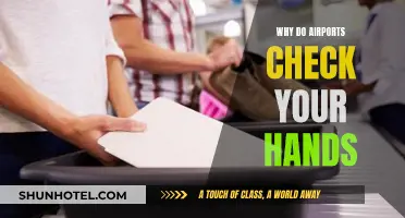 Airports Inspect Hands: Security or Privacy Invasion?