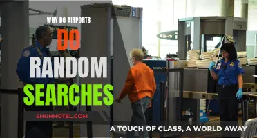 Airports' Random Searches: Security or Privacy?