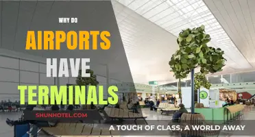 Decoding the Purpose of Airport Terminals: A Comprehensive Guide
