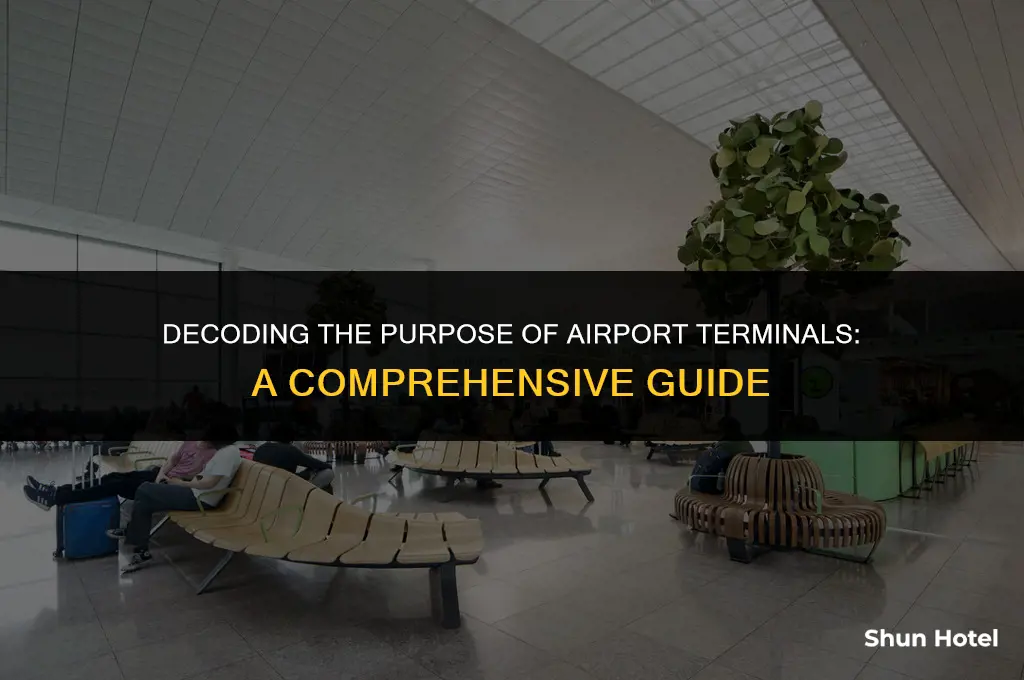 why do airports have terminals