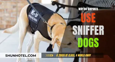 Airports' Sniffer Dogs: Detecting Threats, Saving Lives