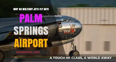 Why Military Jets Frequently Land at Palm Springs Airport