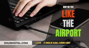 The Airport Experience: A Traveler's Comfort Zone