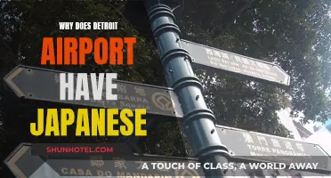 Detroit Airport: A Unique Japanese Gateway