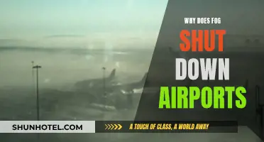 Fog and Airports: The Visibility Issue