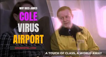 James Cole's Airport Encounter: A Viral Mystery