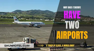 Tenerife's Twin Airports: Why the Need for Two?