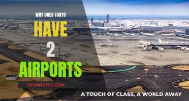 Tokyo's Dual Airport System: Why Two Airports?