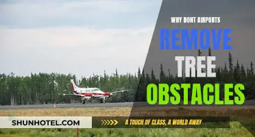 Airports, Trees, and Safety: The Complex Relationship