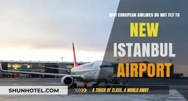 Why European Airlines Avoid New Istanbul Airport: Key Factors Explained
