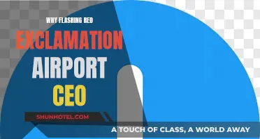 Airport CEO: Understanding the Flashing Red Exclamation Mark