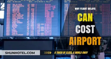 Flight Delays: A Costly Affair for Airports