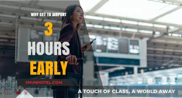 Arrive Stress-Free: The Benefits of Reaching the Airport 3 Hours Early