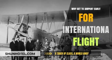 Early Airport Arrival: Essential Tips for Stress-Free International Travel