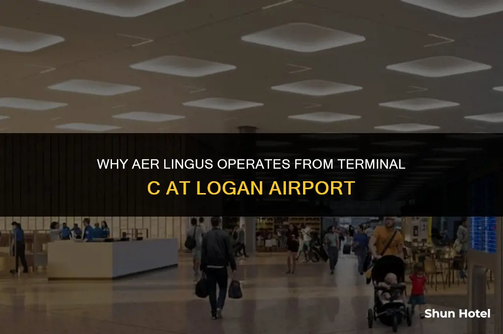 why is aer lingus in terminal c at logan airport