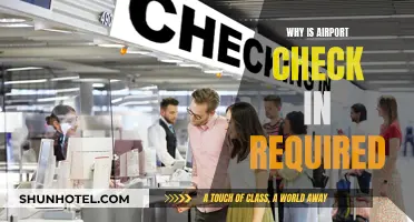 Airport Check-In: Security, Safety, and Efficiency