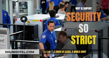 Airport Security: Why So Strict?