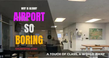 Albany Airport: A Boring Travel Experience