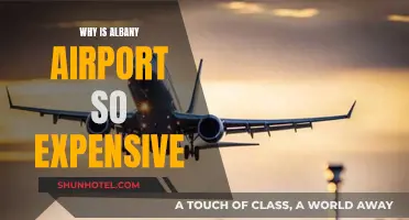 Albany Airport: Why the High Costs?