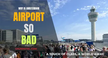 Amsterdam Airport: A Traveler's Worst Nightmare
