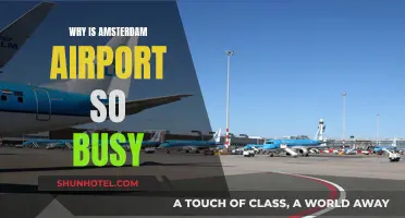 Amsterdam Airport's Busy Status: Reasons and Insights