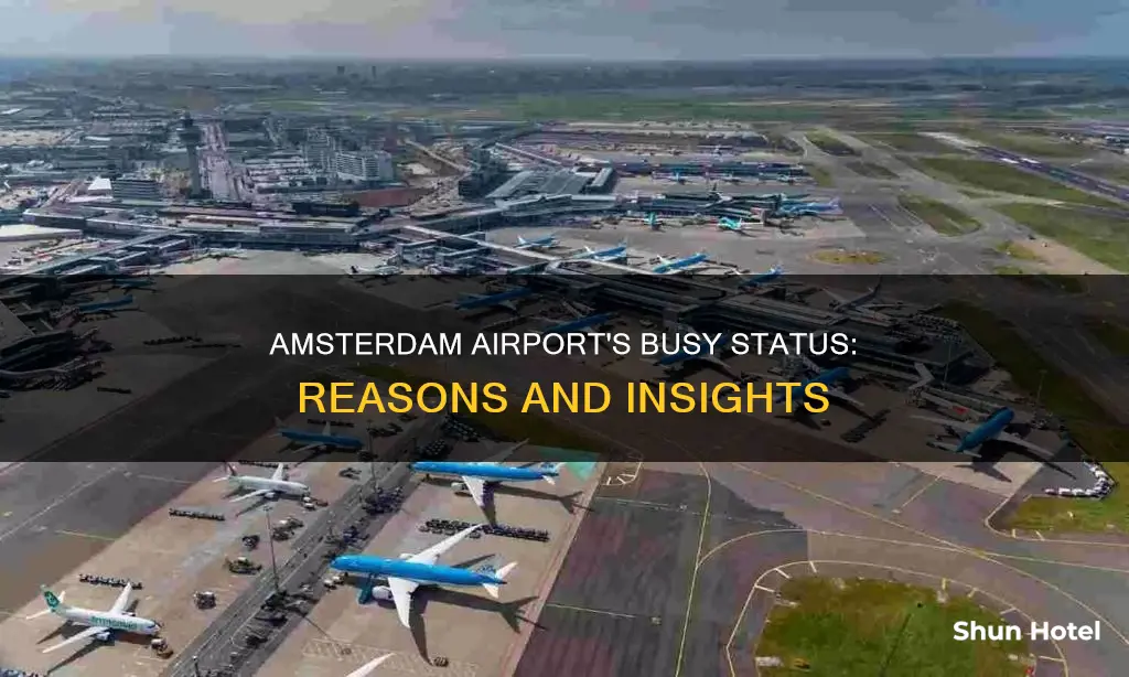 why is amsterdam airport so busy