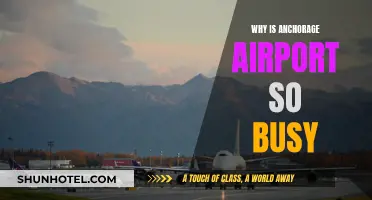 The Rush at Anchorage Airport: Why So Busy?