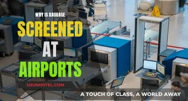 Airports Screen Baggage: Security, Safety, and Protection